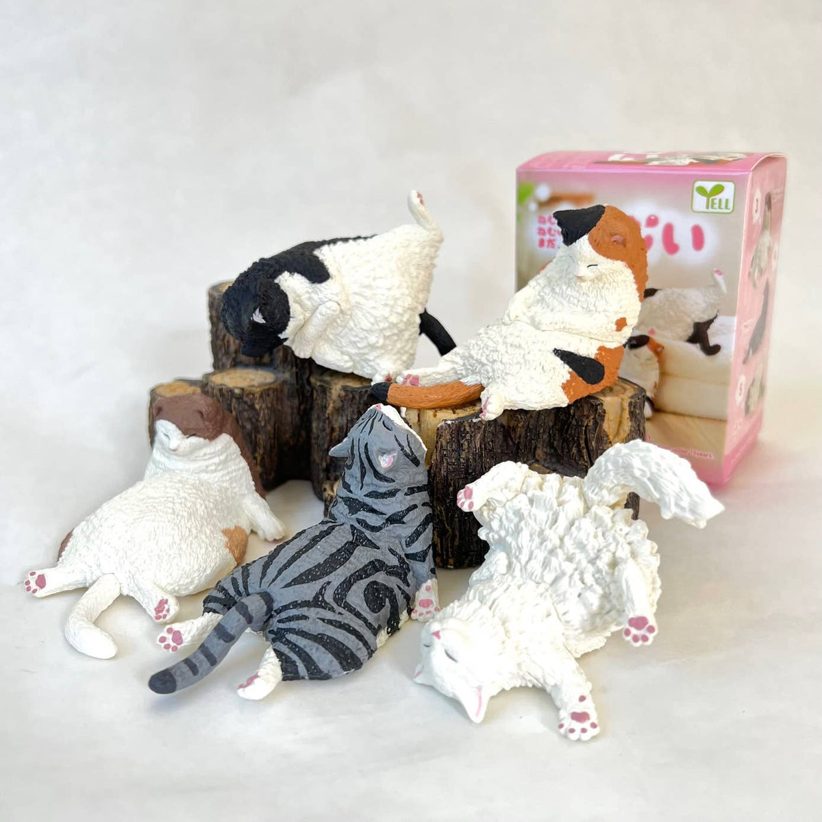 SLEEPING CATS BLIND BOX
