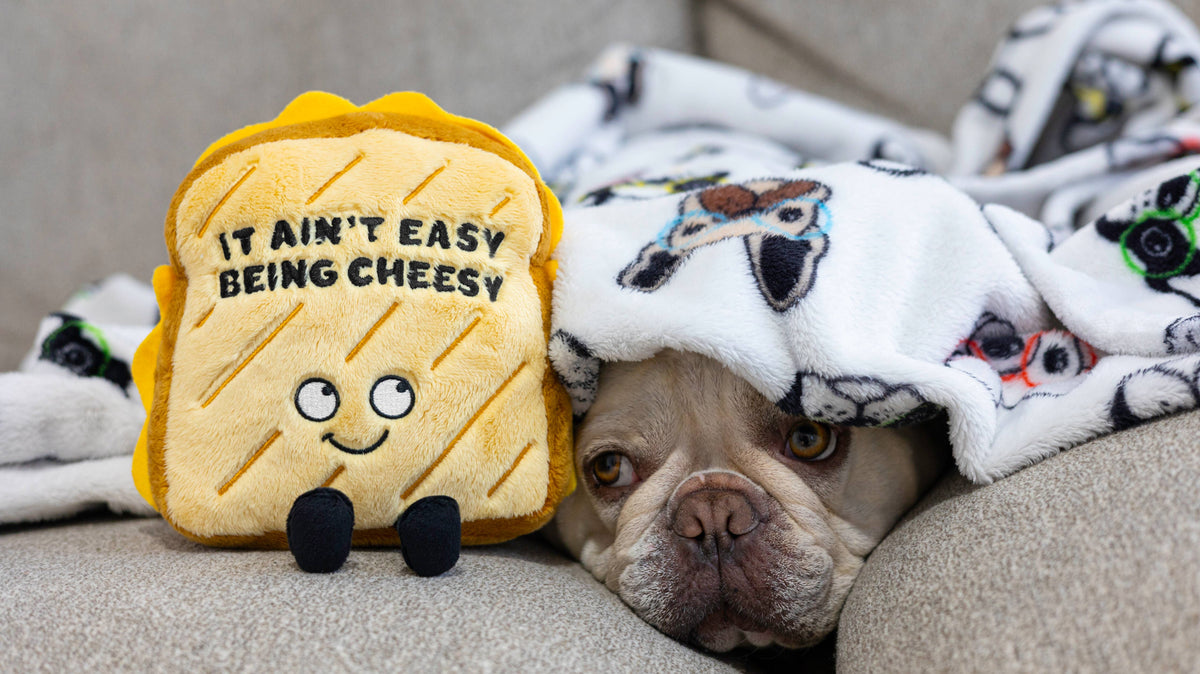 "It Aint Easy Being Cheesy" Plush Grilled Cheese Toy Funny